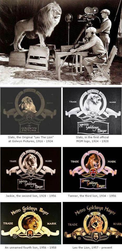 Lion Movie Logo - Those Old Ass Movie Studios Love Their Old Ass Icons