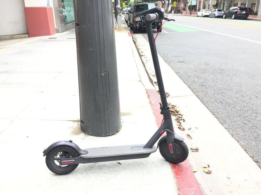 Bird Scooter Logo - Bird App: New Startup Bird Scooters Just Launched in LA