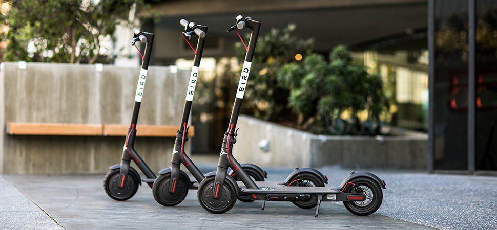 Bird Scooter Logo - This $118 Million Electric Scooter Company Created a Phenomenon in ...