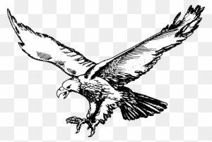 Black and White Philadelphia Eagles Logo - Philadelphia Eagles Logos Clip Art, Transparent PNG Clipart Images ...
