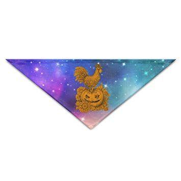 Blue Rooster in Triangle Logo - Amazon.com : Pumpkin Halloween Rooster Baby Pet Triangle Head Scarfs ...