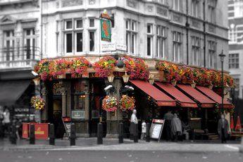 Red Lion London Logo - The Red Lion, Westminster, London | Party Earth