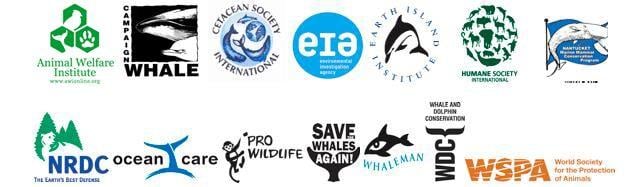 Whale Organizations Logo - Whale advocates ask fish buyers: Is your seafood tainted by