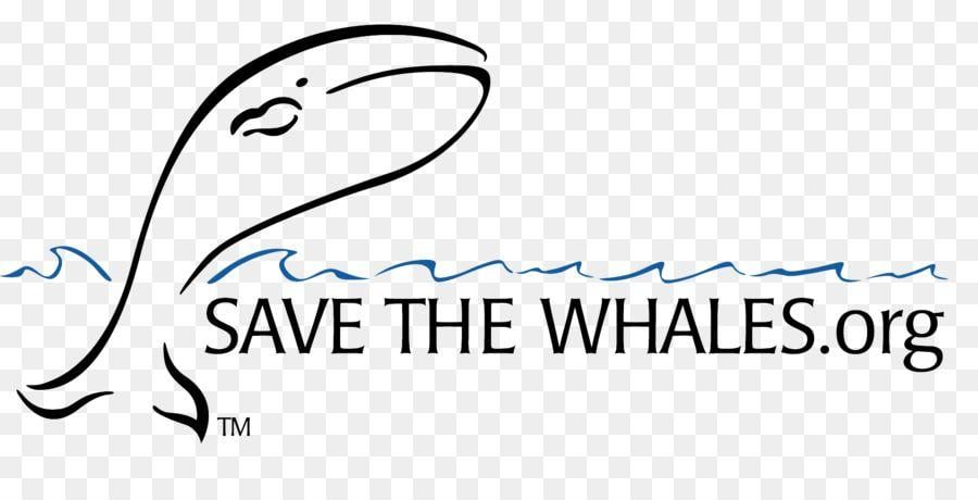 Whale Organizations Logo - Logo Cetacea Organization Whaling Whale watching the date