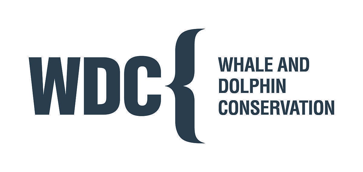 Whale Organizations Logo - Whale and Dolphin Conservation