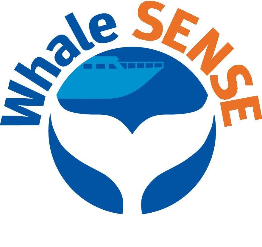 Whale Organizations Logo - Whale SENSE | Promoting responsible whale watching