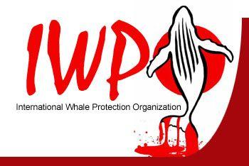 Whale Organizations Logo - Blue Whale Endangered: Plan for Action