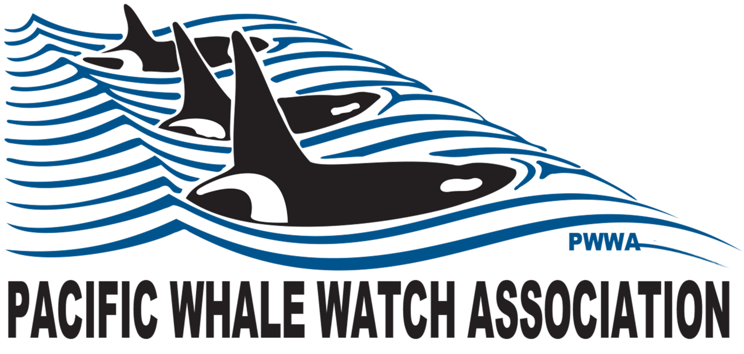 Whale Organizations Logo - Pacific Whale Watch Association