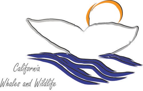 Whale Organizations Logo - Partner Organizations — California Whale Rescue