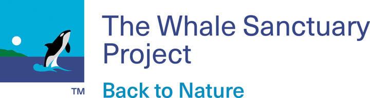 Whale Organizations Logo - Home. The Whale Sanctuary Project. Back to Nature