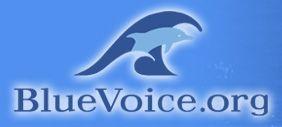 Whale Organizations Logo - Saving Dolphins and Whales - Protecting Oceans: BlueVoice.org