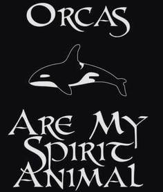 Whale Organizations Logo - 72 Best O.R.C.C.A.S. Organization of Russia China Canada and America ...