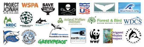 Whale Organizations Logo - Conservation Groups Call for Immediate Action to Save New Zealand's ...