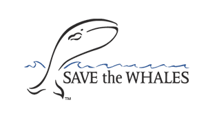 Whale Organizations Logo - How You Can Help