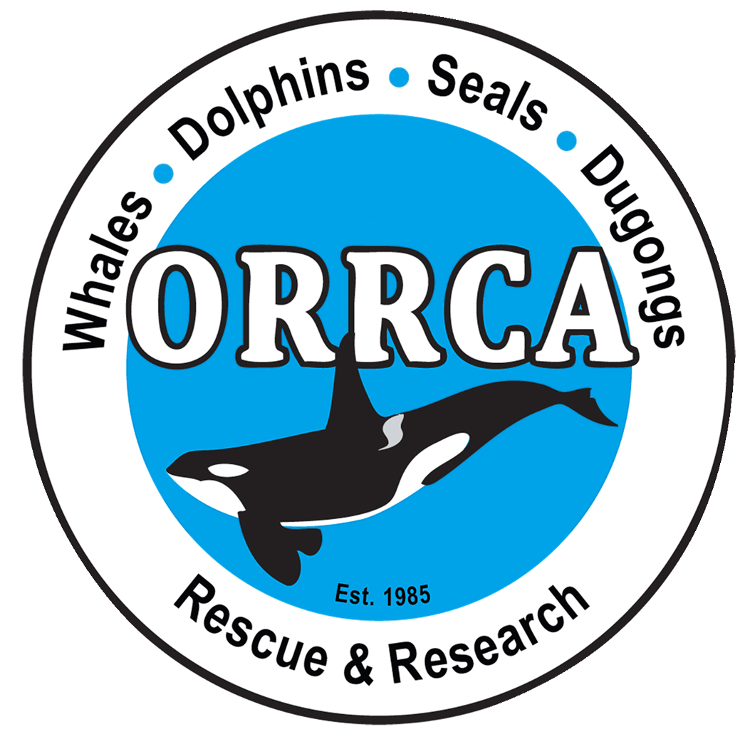 Whale Organizations Logo - ORRCA