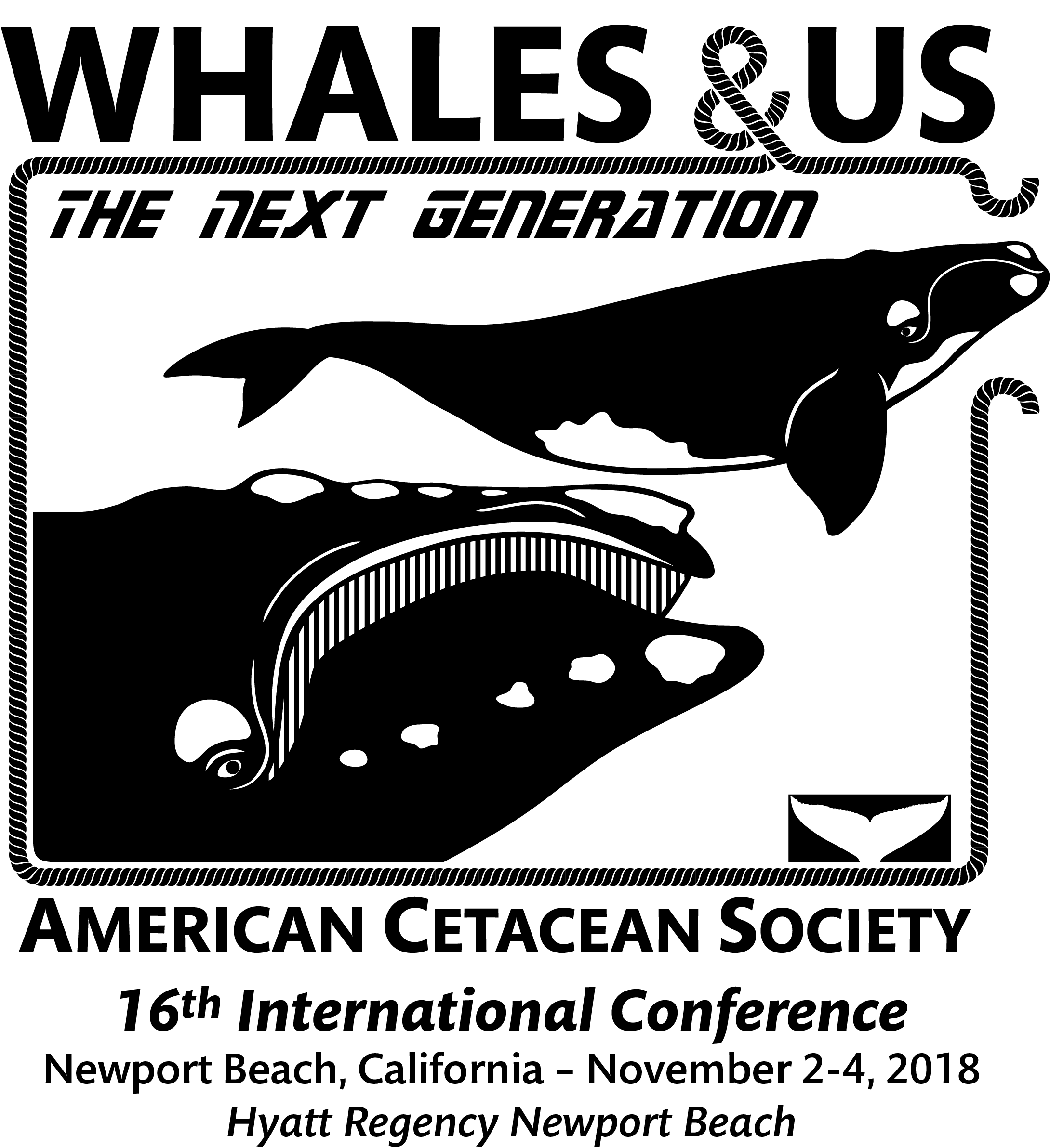 Whale Organizations Logo
