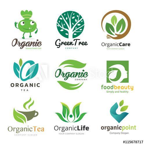 Green Beauty Logo - Logo Vector set of natural, organic, tree, beauty, Logo collection