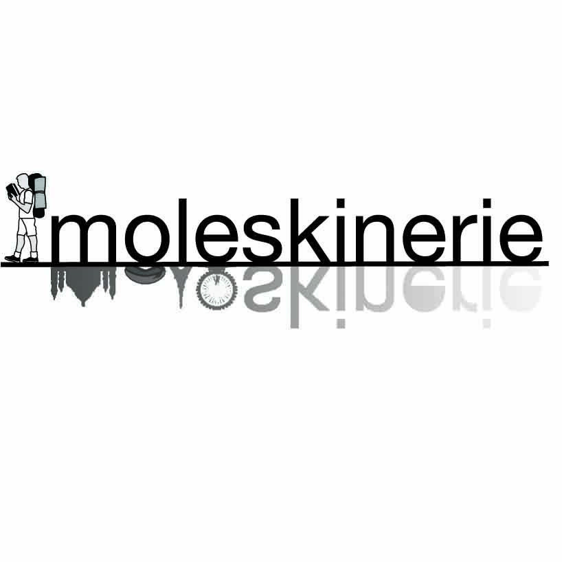 Reflection Logo - Moleskinrie reflection logo | designboom.com