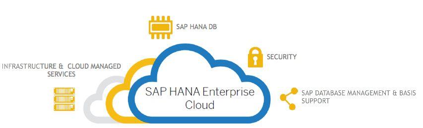 SAP Cloud Logo - NTT Com-Netmagic - Managed IT service & Technology Solution Provider ...