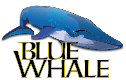 Blue Whale Logo - Blue Whale
