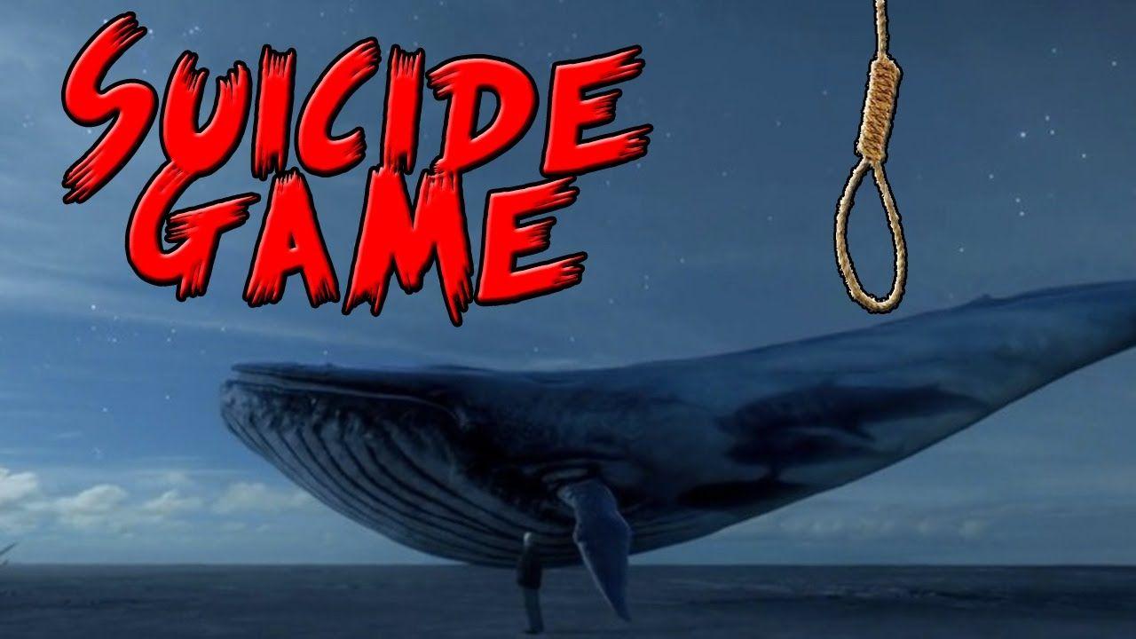 Blue Whale Logo - Blue Whale Suicide Game - YouTube