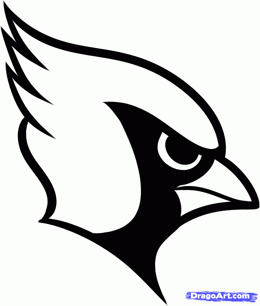 Cardinal Bird Football Logo - Cardinal Clipart Sketch Pencil And In Color Drawn Football Logo ...