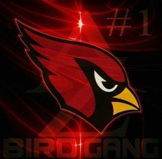 Cardinal Bird Football Logo - NFL - Arizona Cardinals #iPhoneWallpaper | NFL | Cardinals, Nfl ...