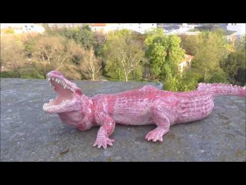 Crocodile with Pink Logo - PINK ALLIGATOR - A Film by Thor Garcia - YouTube