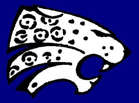 Stephenson Jaguars Logo - Boys Varsity Football High School Mountain