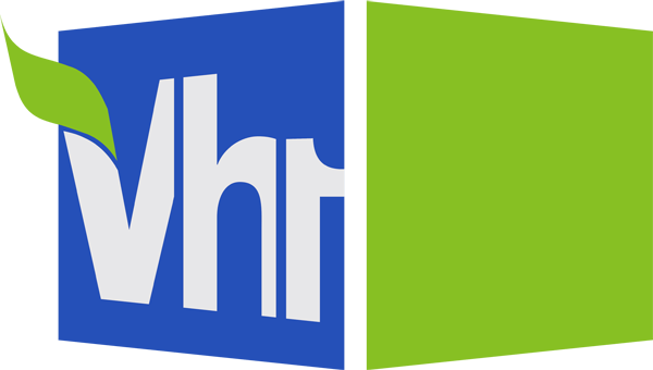 VH1 Logo - VH1 (India)