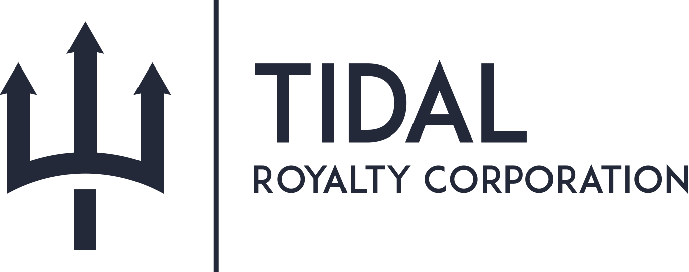 Tidal Logo - Investors