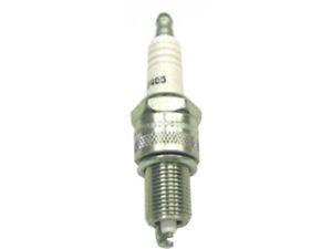 1966 Champion Spark Plugs Logo - For 1966-1976 Rolls Royce Silver Shadow Spark Plug Champion 61175FJ ...