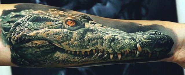 Cool Crocodile Logo - Alligator Tattoo Designs For Men