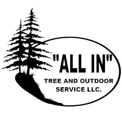 Outdoor Service Logo - All In