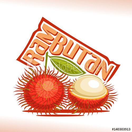 Red Vegetarian Logo - Vector logo Rambutan Fruit: still life composition of 2 red fresh