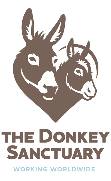 Donkey Sports Logo - Brand New: Donkey See, Donkey Do