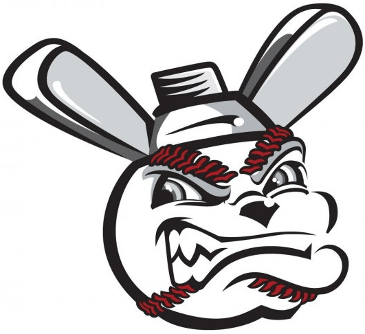 Donkey Sports Logo - Wichita Wingnuts Secondary Logo Association (2006) (AAIPB