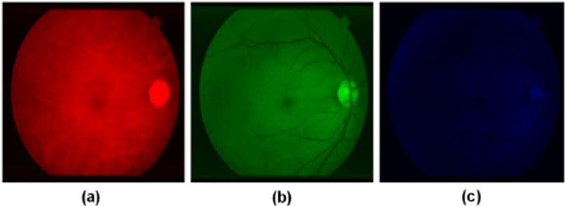 Red Circle with Blue Band Logo - The RGB retinal images (a) red, (b) green, (c) blue band | Download ...