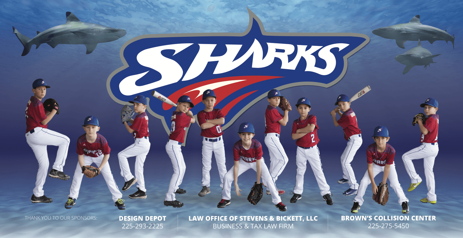 Sharks Baseball Logo - Sharks (Little League Baseball)