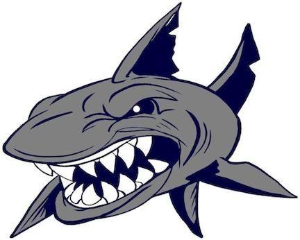 Sharks Baseball Logo - HOME OF THE LONG ISLAND SHARKS BASEBALL CLUB, NY