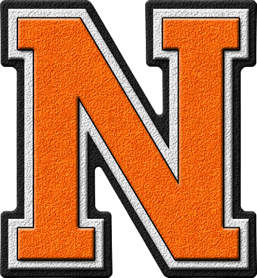 Orange N Logo - Presentation Alphabets: Orange Varsity Letter N