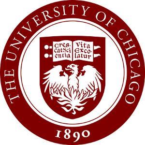 University of Chicago Maroons Logo - University of Chicago