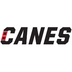 Carolina Hurricanes Logo - Carolina Hurricanes Wordmark Logo | Sports Logo History