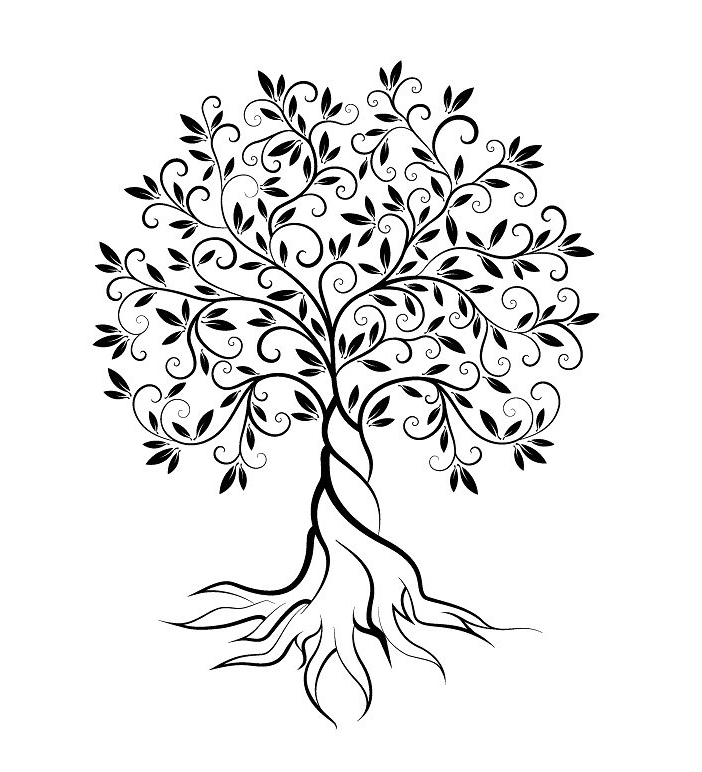 Tree Outline Logo - Olive tree logo design | Design | Tree outline, Olive tree, Outline