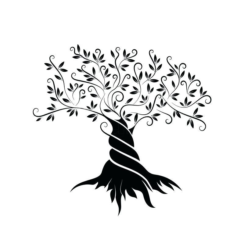 Tree Outline Logo - Tree Outline Olive Tree Outline Curl Silhouette Icon Isolated On ...