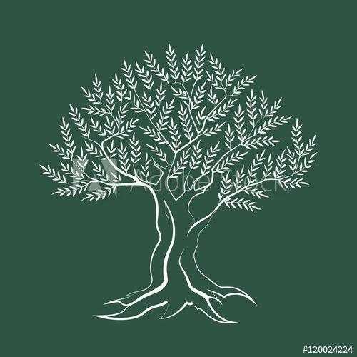 Tree Outline Logo - Olive tree outline silhouette icon isolated on green background. Web ...