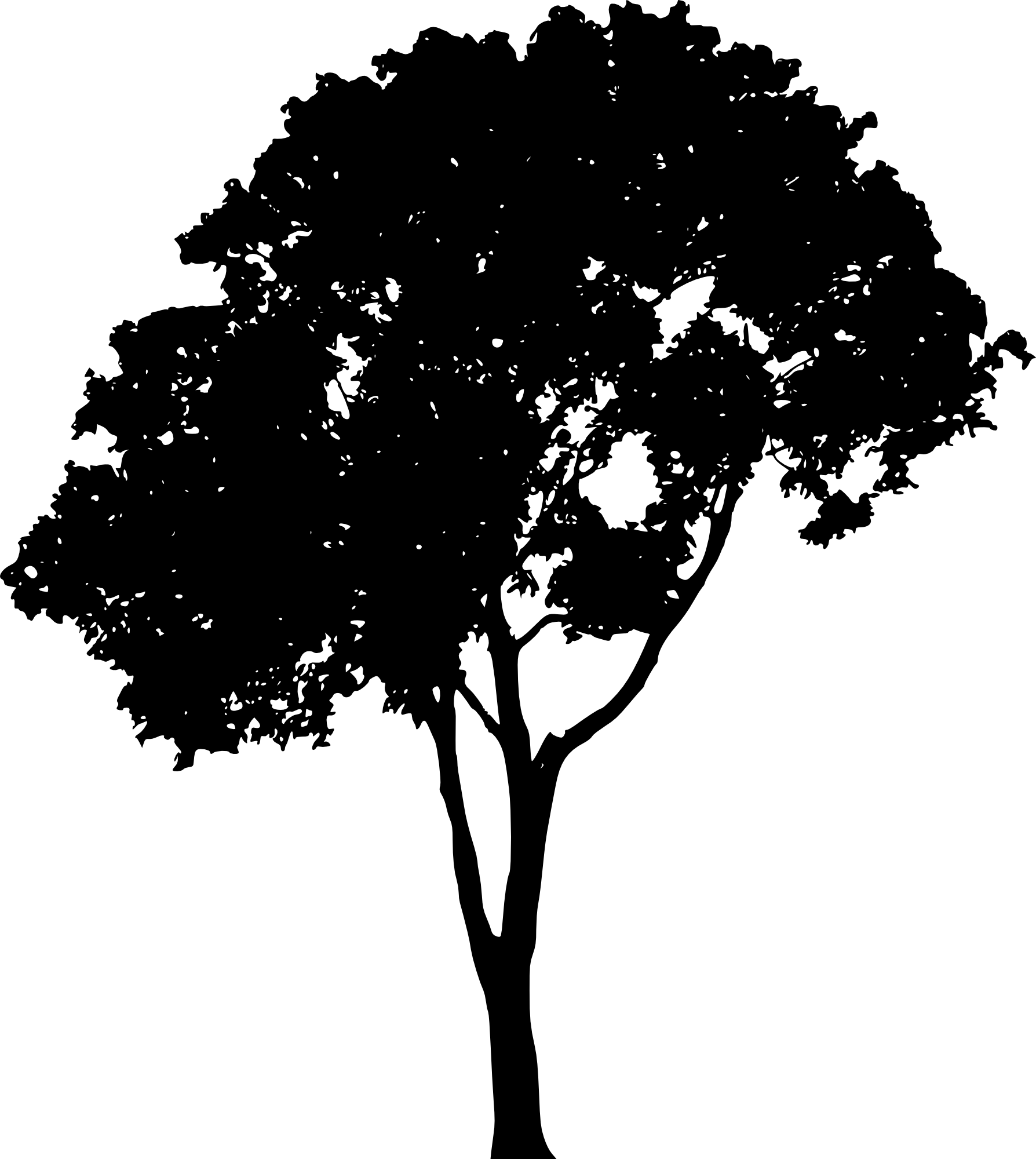Tree Outline Logo - Tree Outline Vector at GetDrawings.com | Free for personal use Tree ...