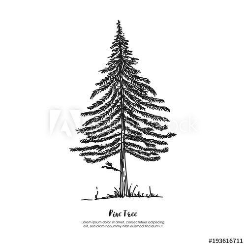 Tree Outline Logo - Pine tree outline hand drawn silhouette symbol logo - Buy this stock ...