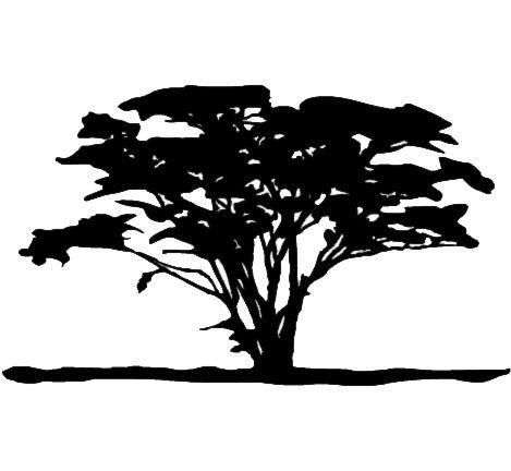 Tree Outline Logo - The Digital Safari Academy / DSA Student Media Resources
