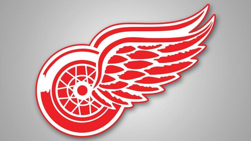 Classic Detroit Red Wings Logo - Matthews, Maple Leafs top Red Wings in Centennial Classic